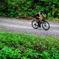 Exploring the Best Road Biking Routes in South Carolina