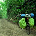Discover the Best Bike-Friendly Creeks in South Carolina