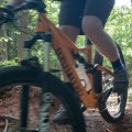 Exploring South Carolina's Best Bike Trails - A Guide for Cyclists