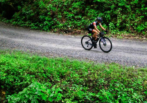 Exploring the Most Spectacular Bicycling Routes in South Carolina